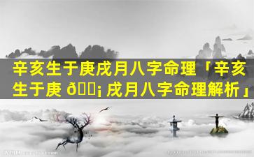 辛亥生于庚戌月八字命理「辛亥生于庚 🐡 戌月八字命理解析」